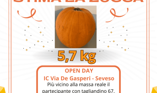 stima la zucca