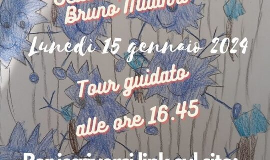 Tour guidato